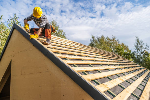 Best Roof Gutter Cleaning  in Lyndhurst, VA